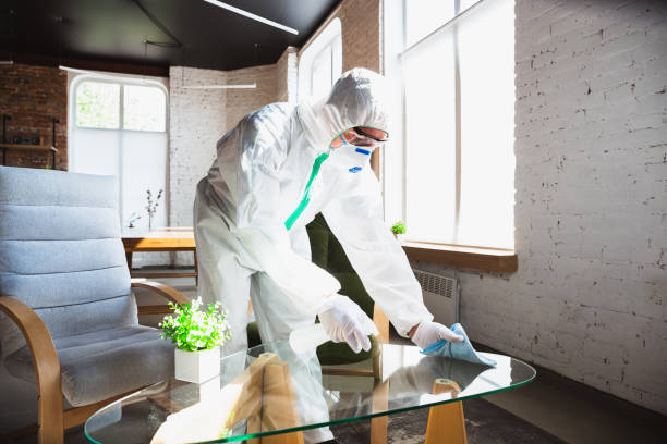 Why You Should Choose Our Mold Remediation Services in Marine City, MI